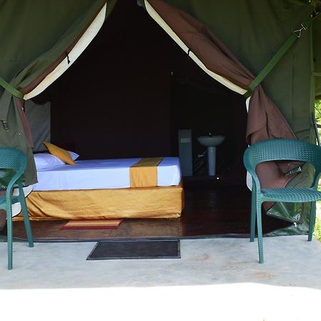 Wild Panthera Yala Tissamaharama Exterior photo