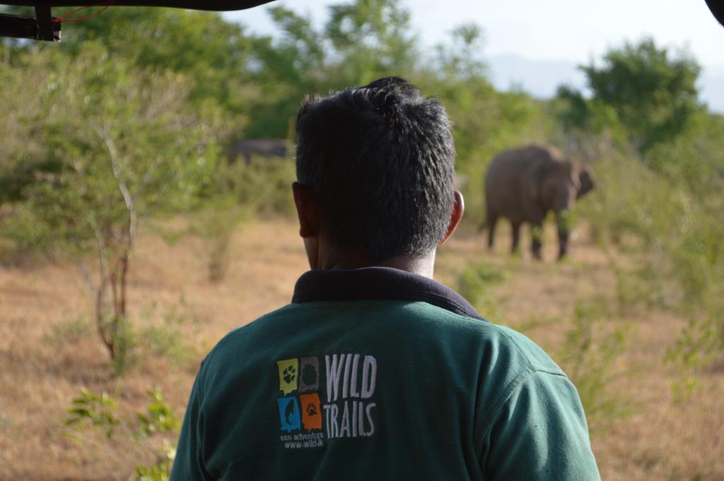 Wild Panthera Yala Tissamaharama Exterior photo