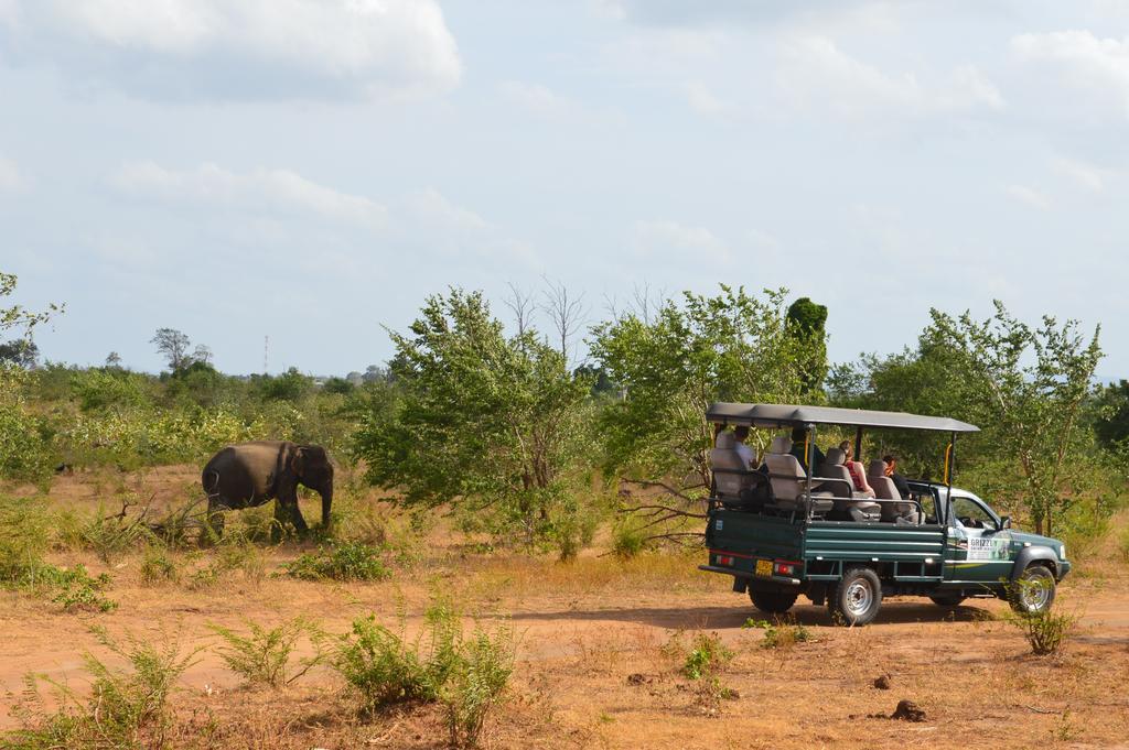 Wild Panthera Yala Tissamaharama Exterior photo