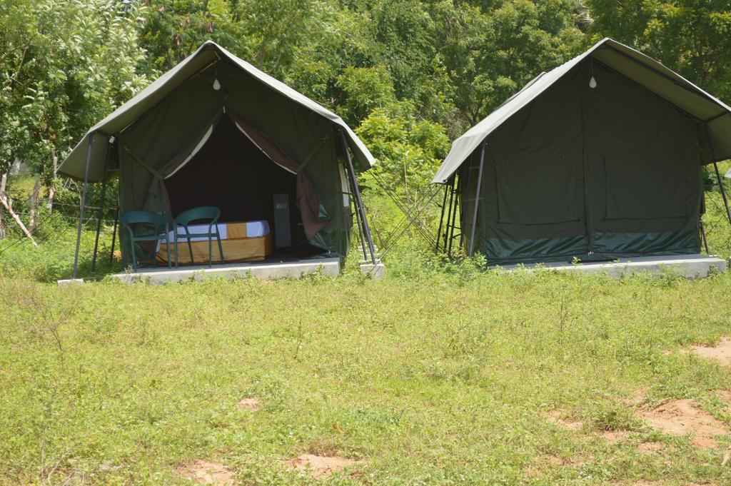Wild Panthera Yala Tissamaharama Exterior photo