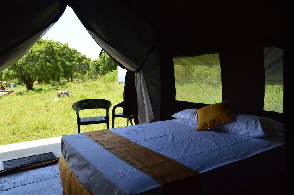 Wild Panthera Yala Tissamaharama Exterior photo