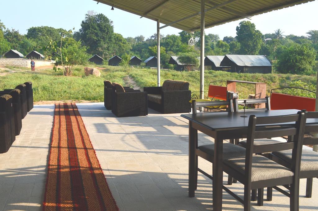 Wild Panthera Yala Tissamaharama Exterior photo