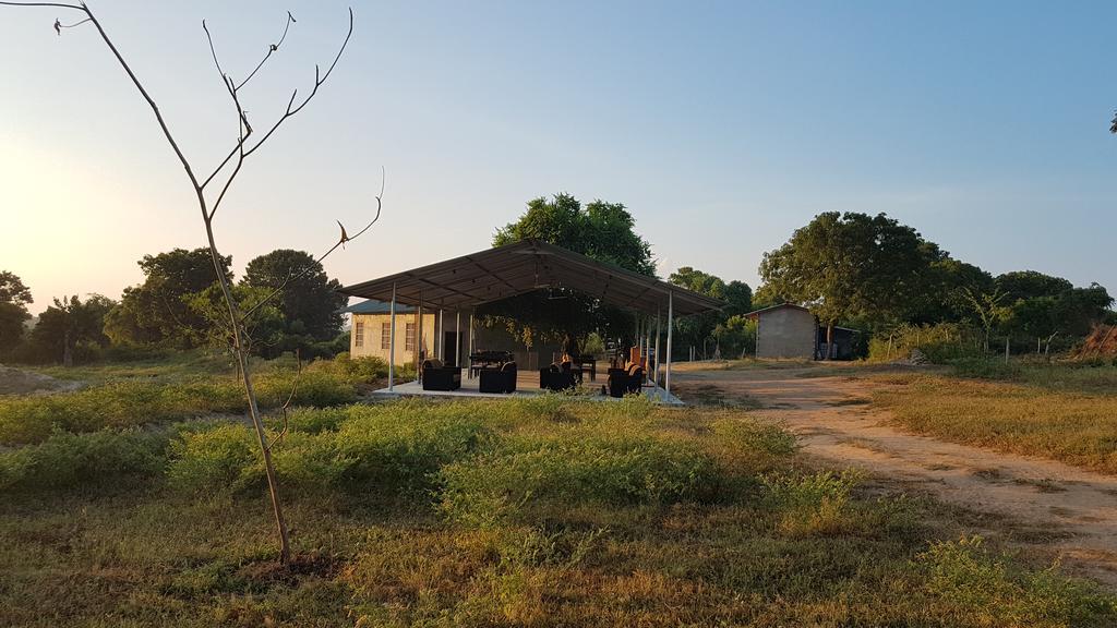 Wild Panthera Yala Tissamaharama Exterior photo